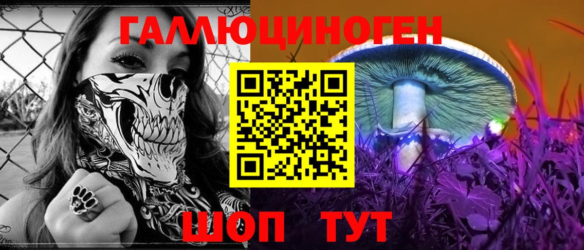 Галлюциногенные грибы GOLDEN TEACHER  Галлюциногенные грибы Magic Shrooms  Вход с VPN  Буйнакск 