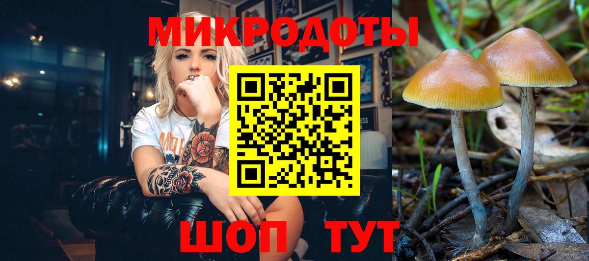 Псилоцибиновые грибы Cubensis Буйнакск