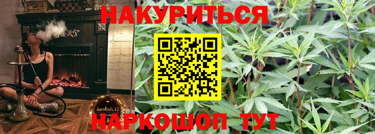 Конопля конопля Буйнакск